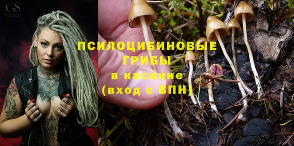 mix Няндома