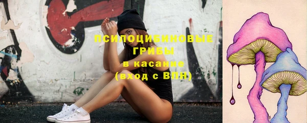 mix Няндома