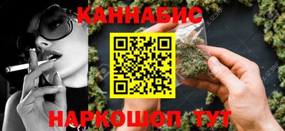 spice Гатчина
