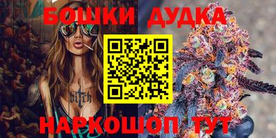 spice Гатчина