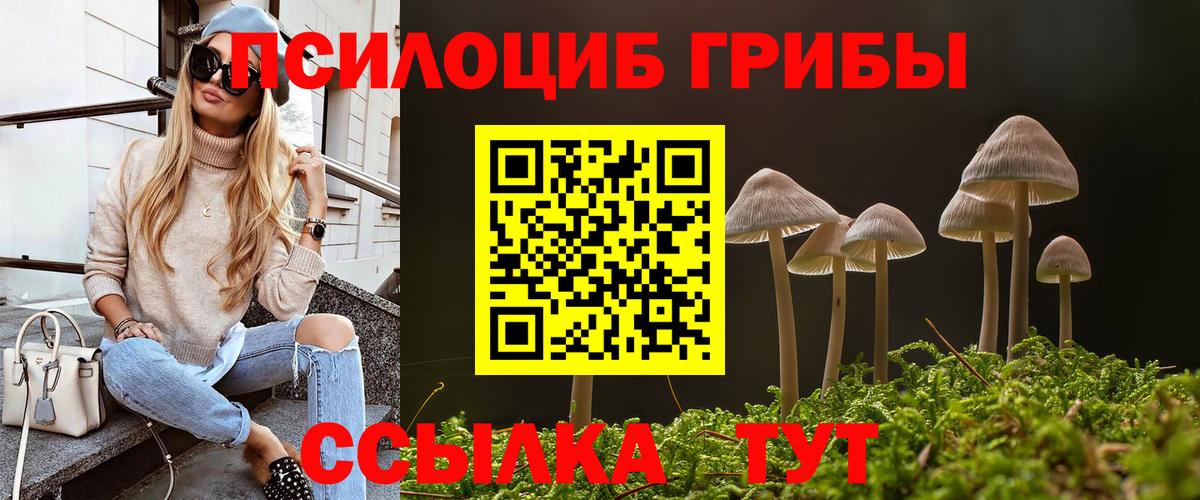 Химки  Галлюциногенные грибы мухоморы  Псилоцибиновые грибы Cubensis  Вход с VPN 
