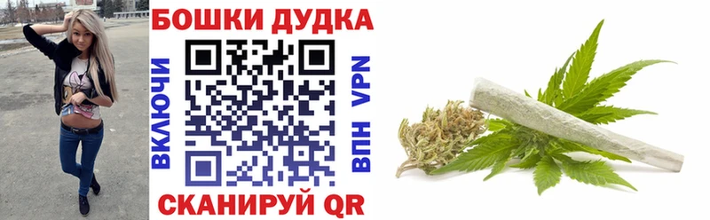 Конопля план  Химки 